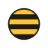 www.studentteachers.dev favicon